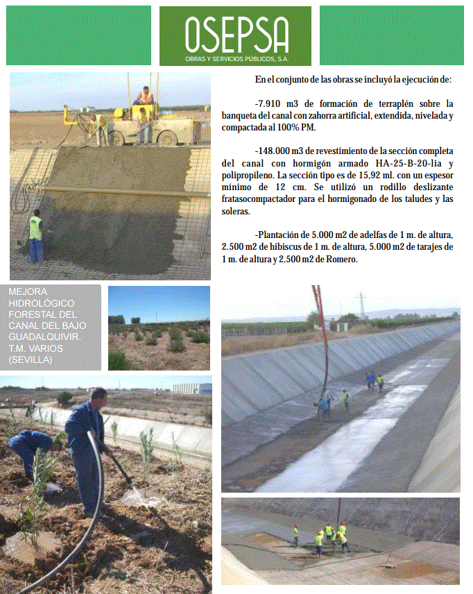 Mejora hidrológico forestal del canal del bajo Guadalquivir. T.M. Varios (Sevilla)